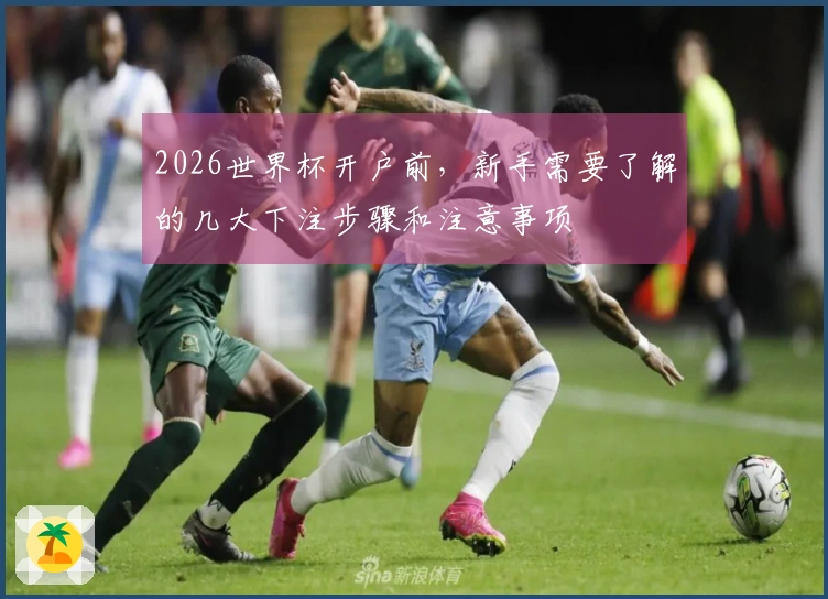 2026世界杯开户前，新手需要了解的几大下注步骤和注意事项