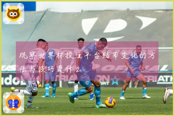 观察世界杯投注平台赔率变化的方法与技巧是什么