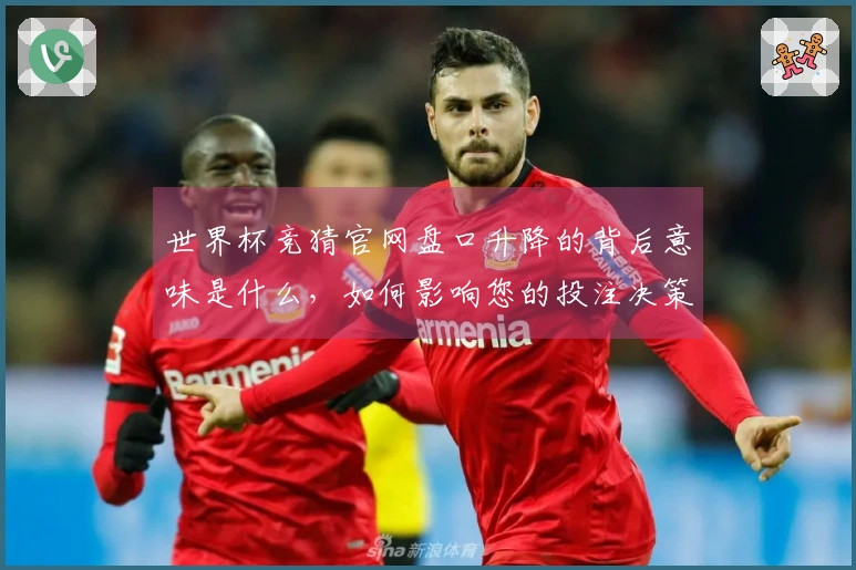 世界杯竞猜官网盘口升降的背后意味是什么,如何影响您的投注决策