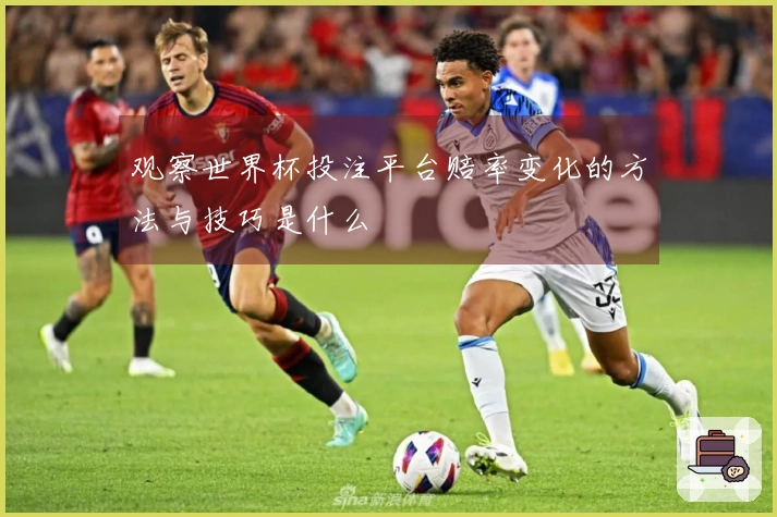 观察世界杯投注平台赔率变化的方法与技巧是什么