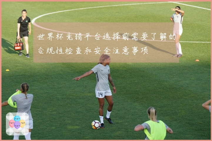 世界杯竞猜平台选择前需要了解的合规性检查和安全注意事项