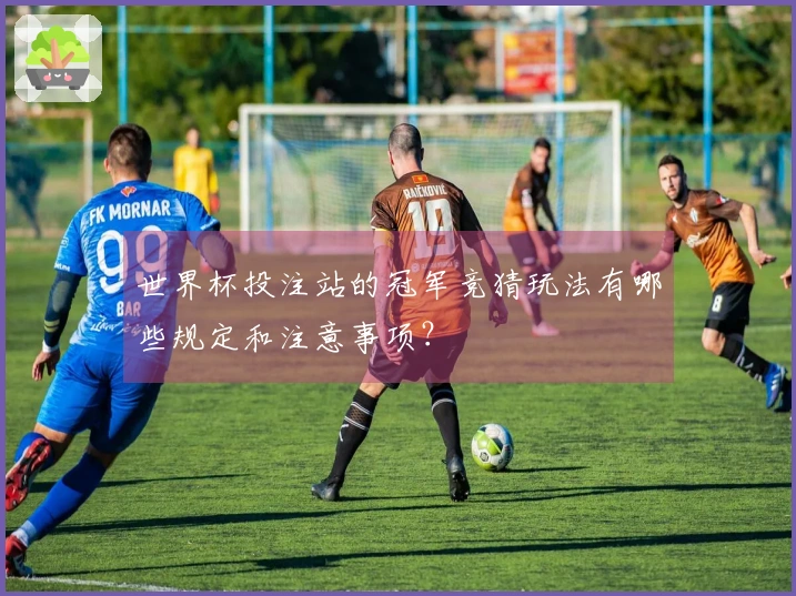 世界杯投注站的冠军竞猜玩法有哪些规定和注意事项?